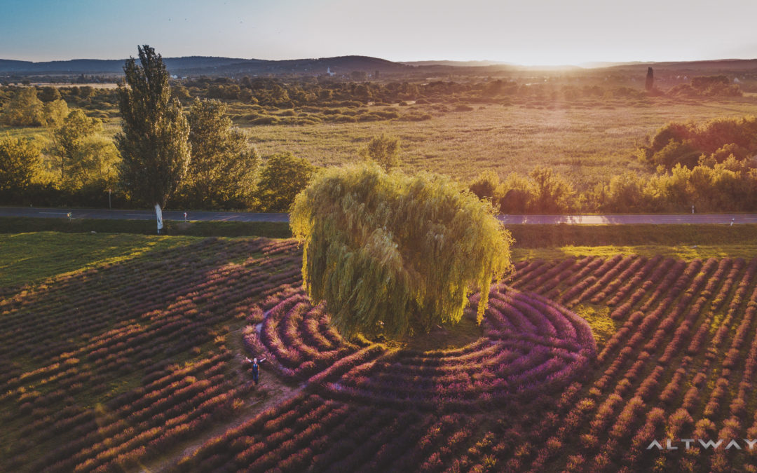 Tip na výlet 8 – Tihany – kúsok Provensálska v Maďarsku