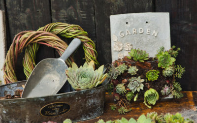 DIY – závesná záhradná dekorácia so skalničkami