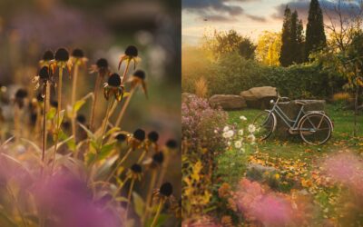 Čarovná jeseň v našej záhradke