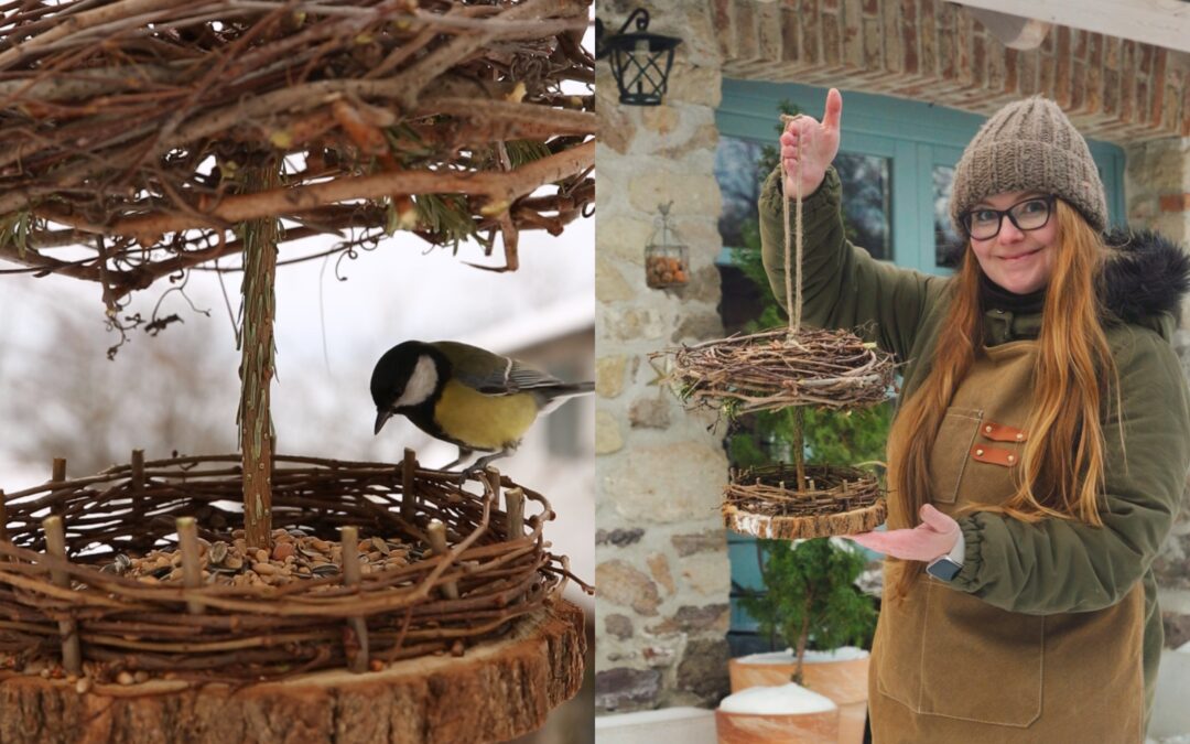 DIY – kŕmidlo pre vtáky z rezaného vianočného stromčeka