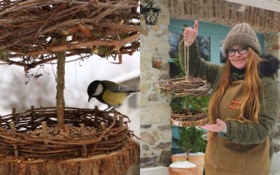 DIY – kŕmidlo pre vtáky z rezaného vianočného stromčeka