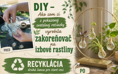DIY – zakoreňovač rastlín zo starej svetelnej reťaze